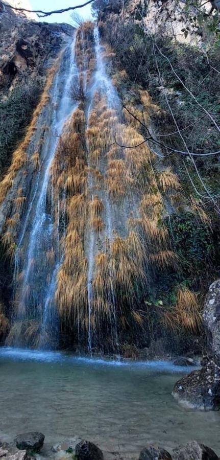 Alojamiento El Recreo Cazorla Exterior foto